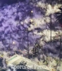 太狂热了😲！当墨西哥打入第1球时，当地球迷反应